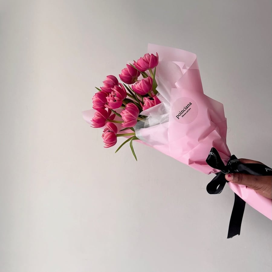 بيبي توليب | BABY TULIPS