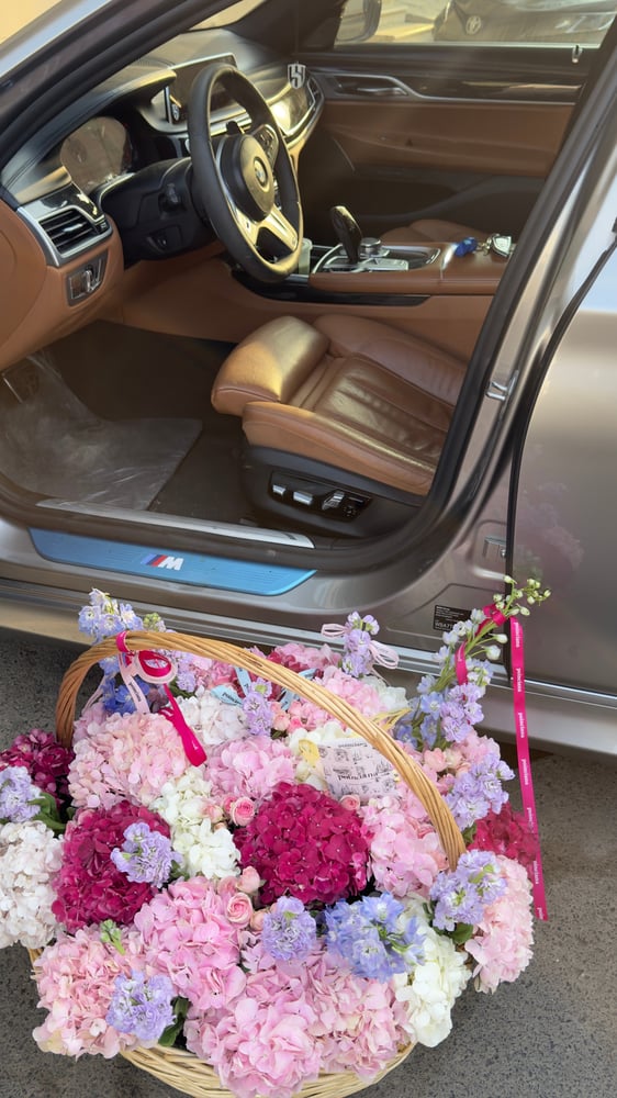 سله هايدرنجا |  Hydrangea BASKET