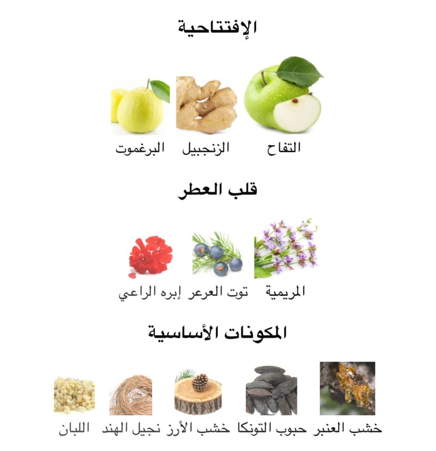 سان لوران - واي او دي بيرفيوم 100 مل  ( تستر )