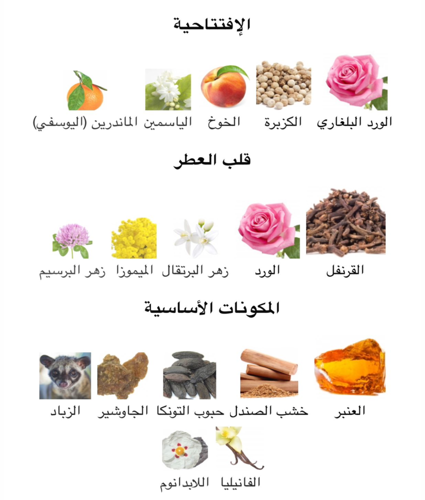 شانيل - كوكو شانيل او دي بيرفيوم 100 مل  ( تستر )