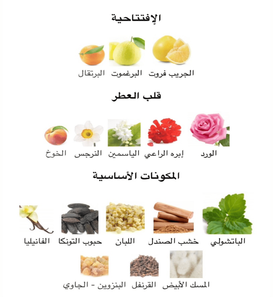 شانيل - كوكو نوار 100 مل  ( تستر )