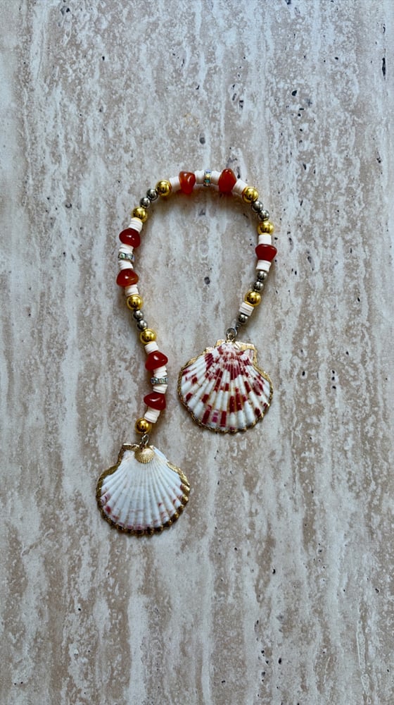 طربزونة الصدفة