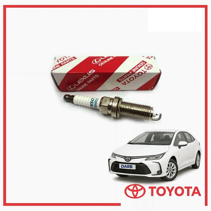 بواجي حبه كورولا 2021 اصلي