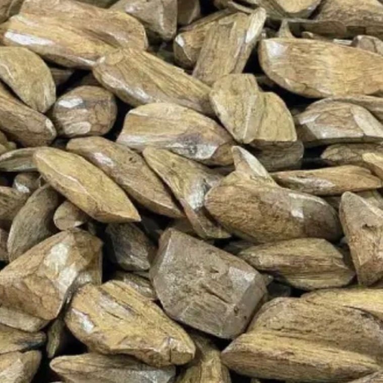 عود موركي