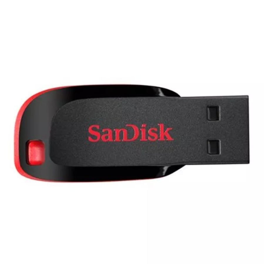 SanDisk 128GB Flash