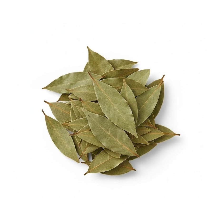 ورق غار عضوي