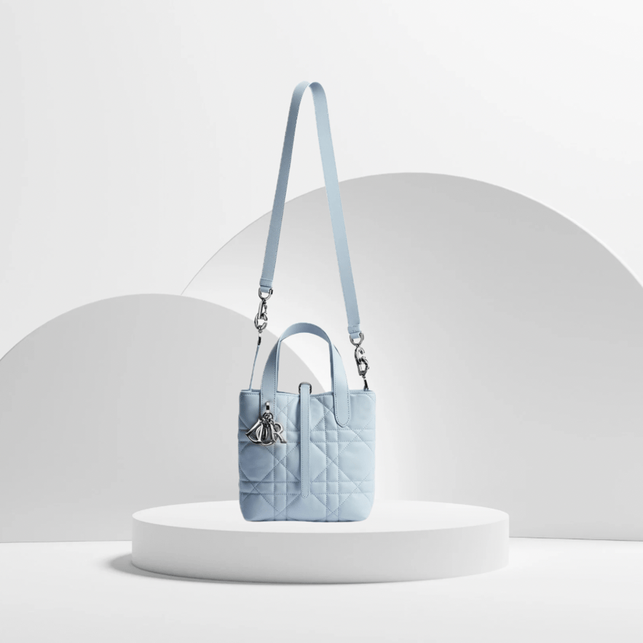 Small Dior Toujours Vertical Tote Bag 2026