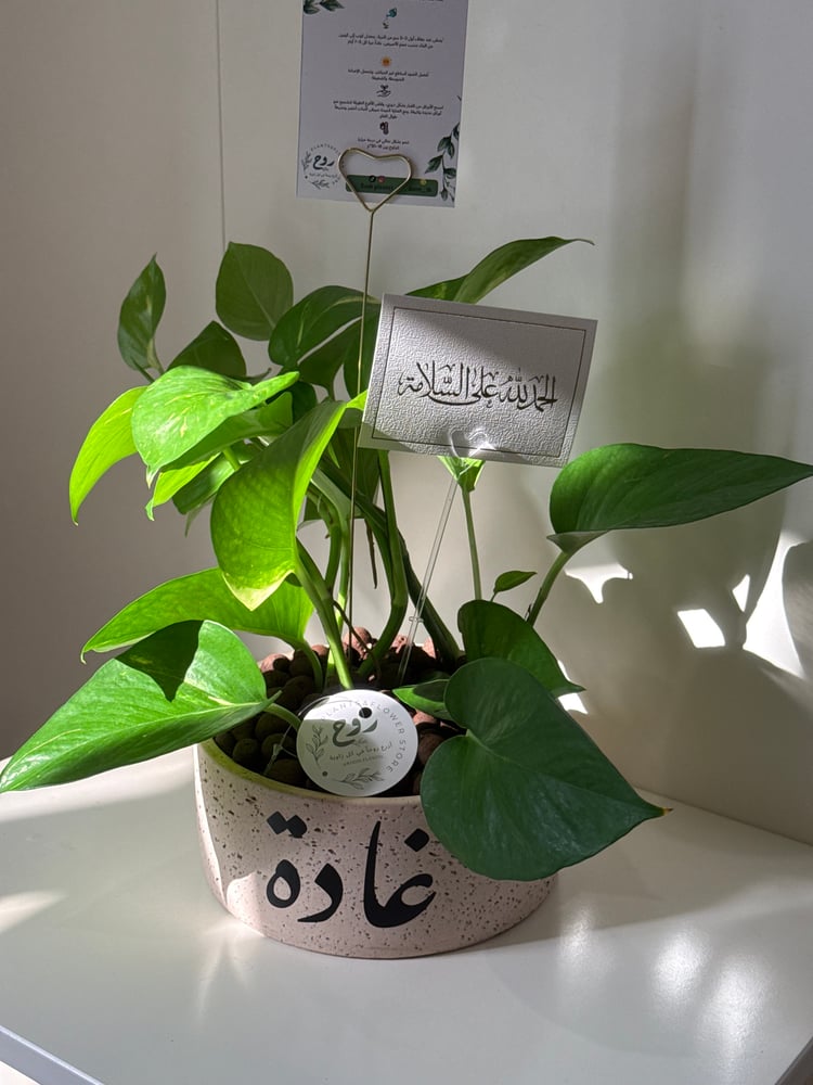 البوتس حجم كبير