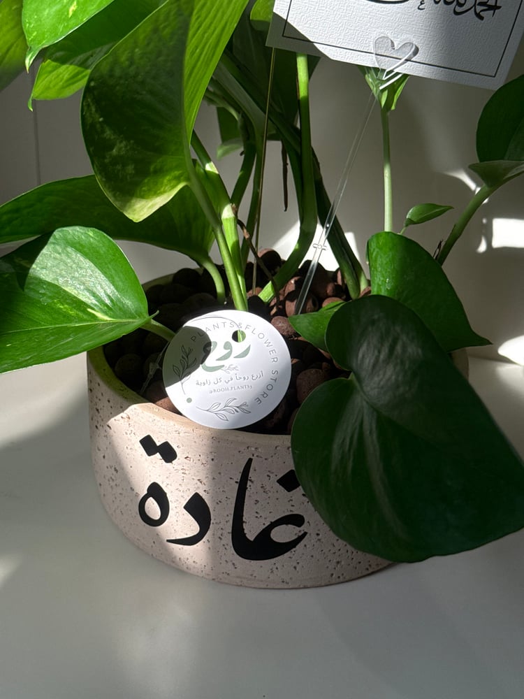 البوتس حجم كبير