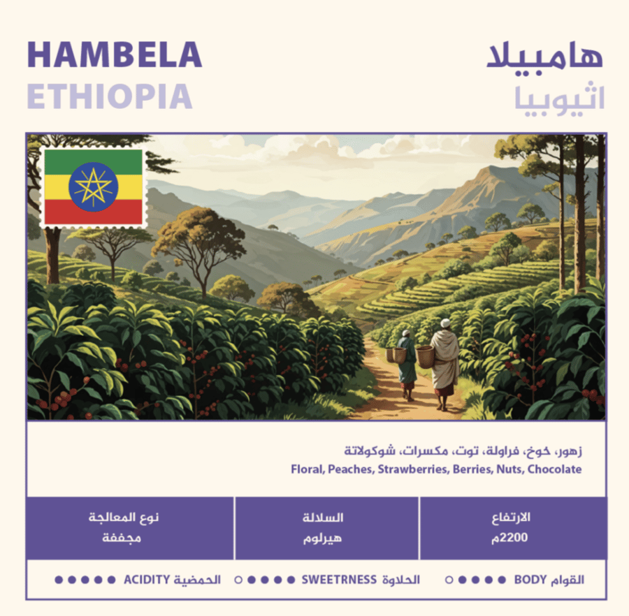 هامبيلا اثيوبيا - غير مطحونه 250g - متاح