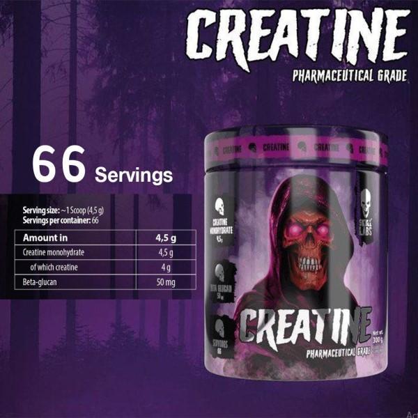 FA SKULL LABS CREATINE VERSION2 300G offer (1+1)