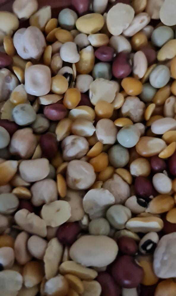 خليط الحبوب المنقوعة للطيور 500 جم