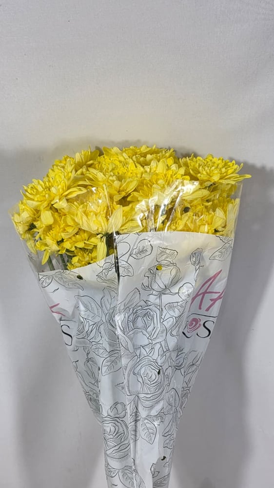 شده  كريز اصفر مقاس 60