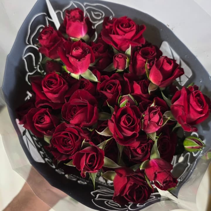شده بيبي روز احمر مقاس 60