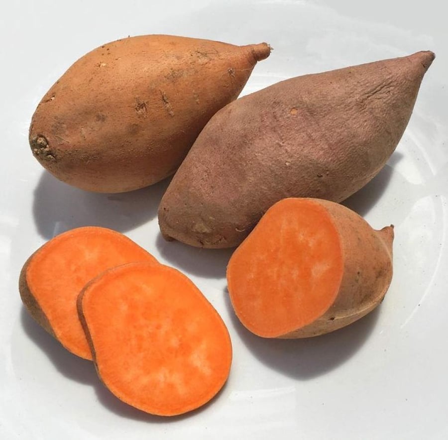 بطاطا حلوة