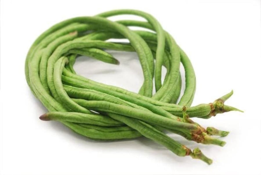 لوبيا