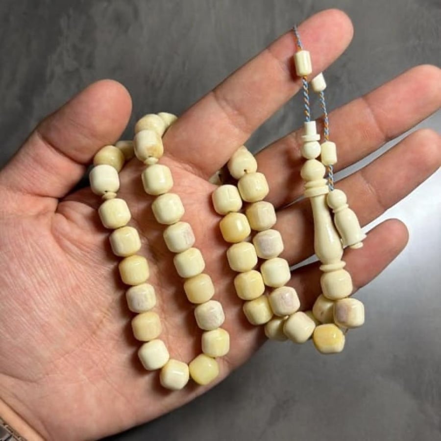 مسباح عظم نعام