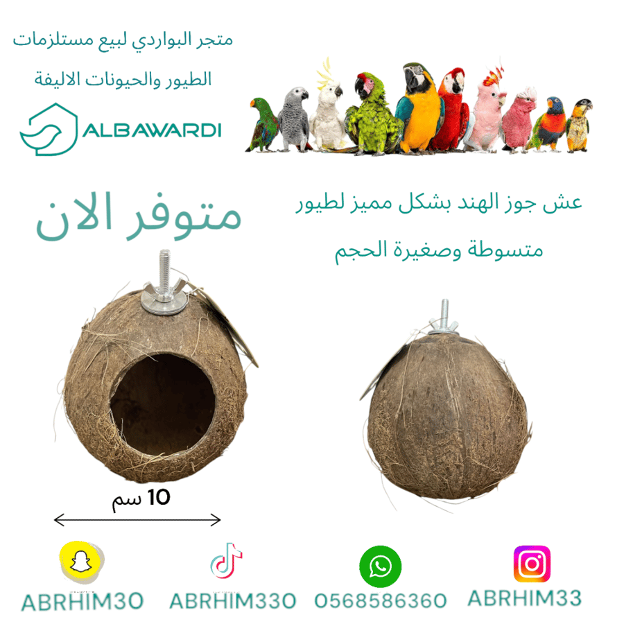 عش زيبرا وقلودن فنيش بشكل جوز الهند المجوف