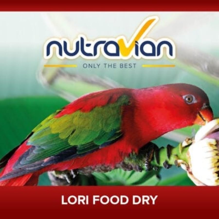 اكل لوري جاف نوترافيان Nutravian Lori Food Dry