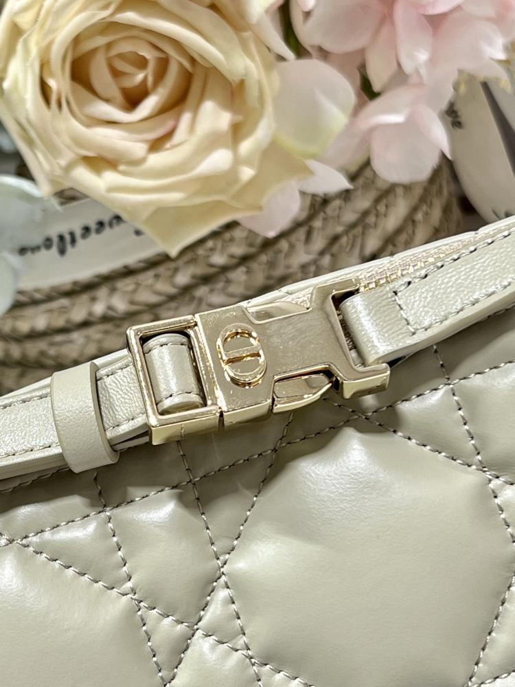 Medium Dior Travel Nomad Pouch