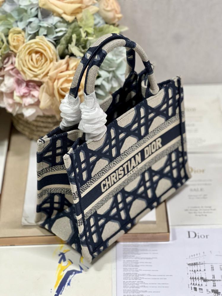 Small Dior Book Tote