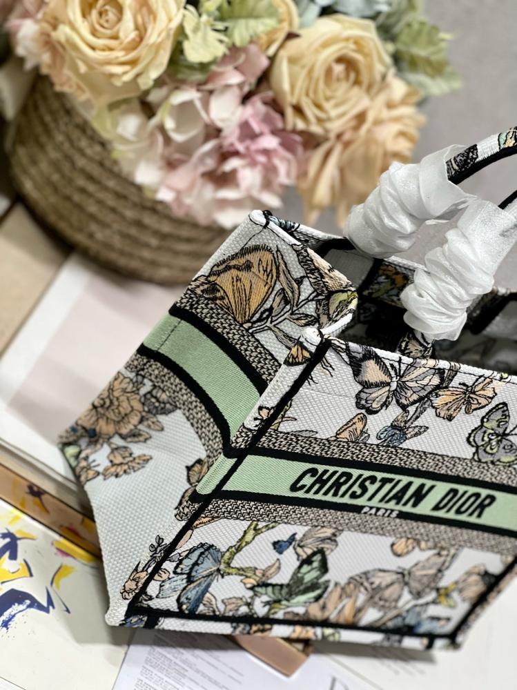Small Dior book tote