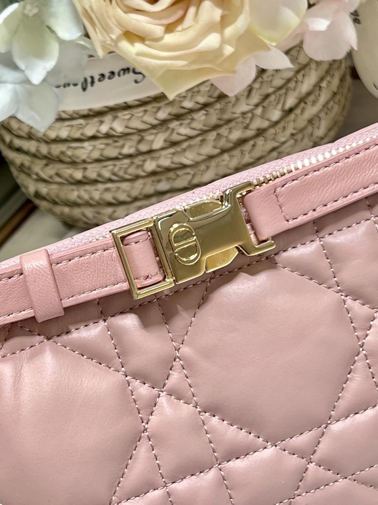 Medium Dior Travel Nomad Pouch