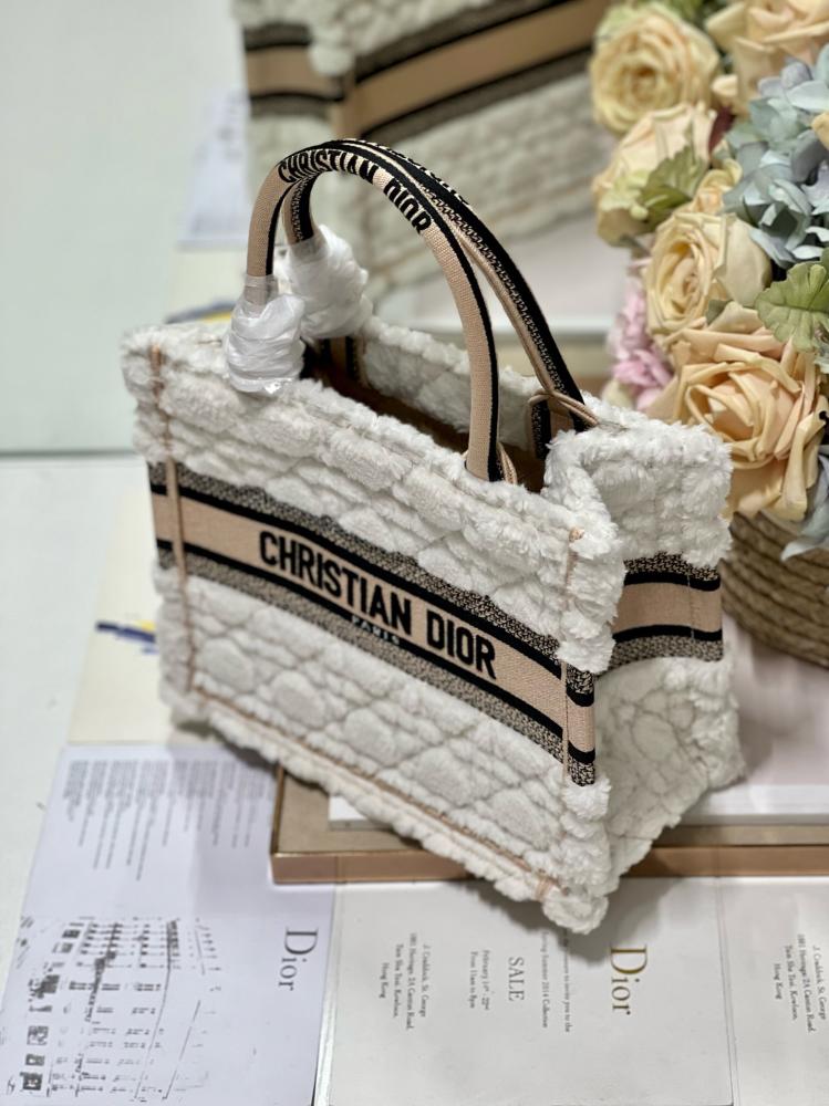 Small Dior Book Tote