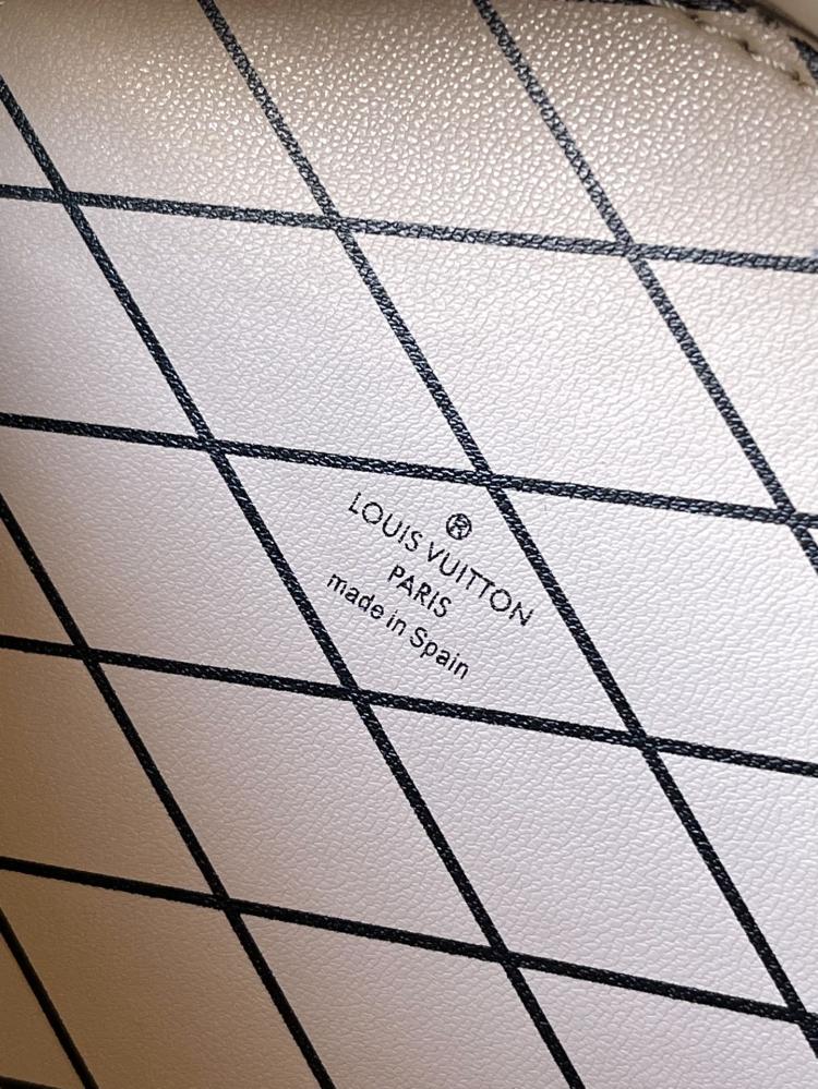 Louis Vuitton mini bag