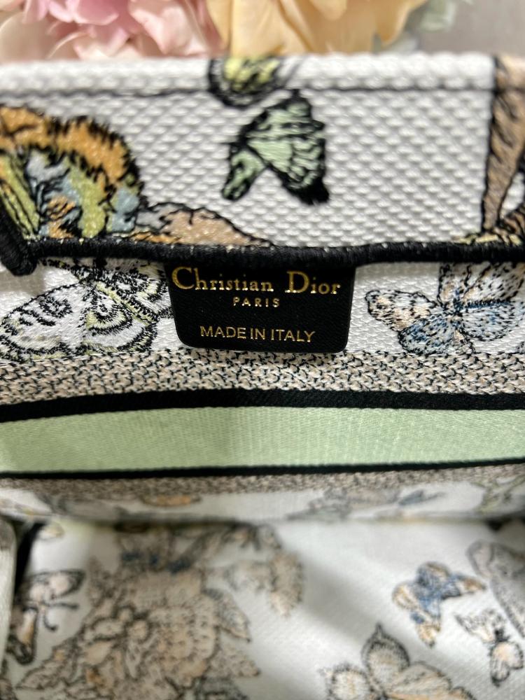 Small Dior book tote