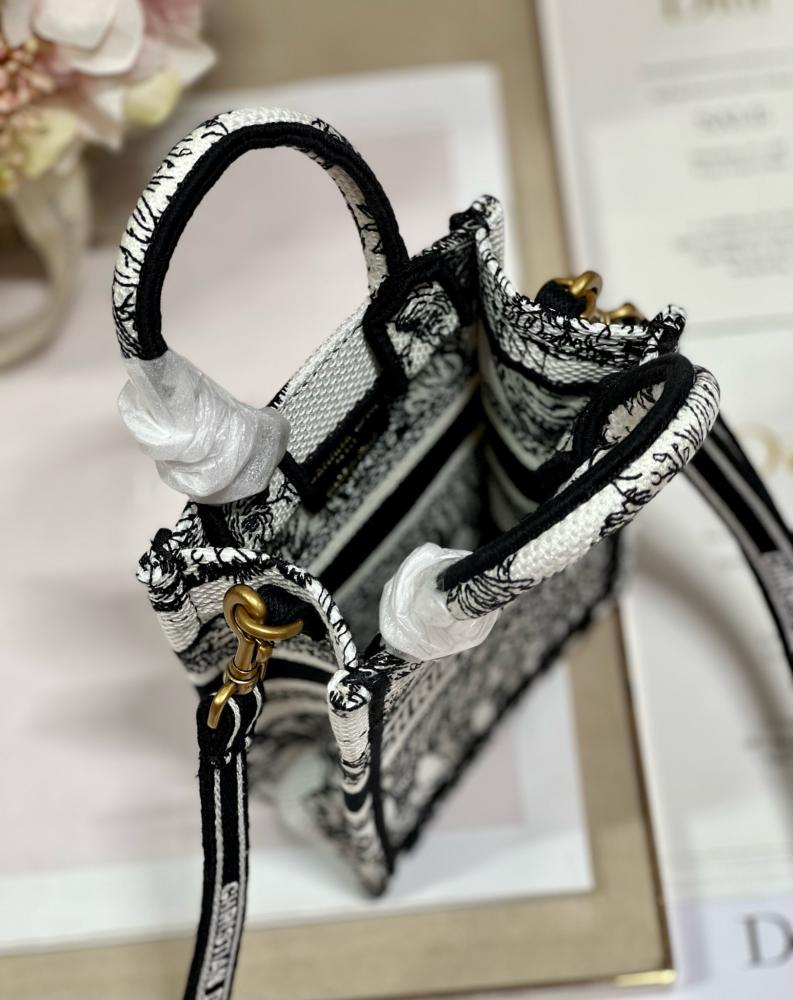 Dior Book Tote