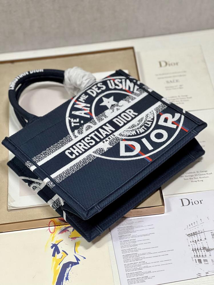 Small Dior Book Tote