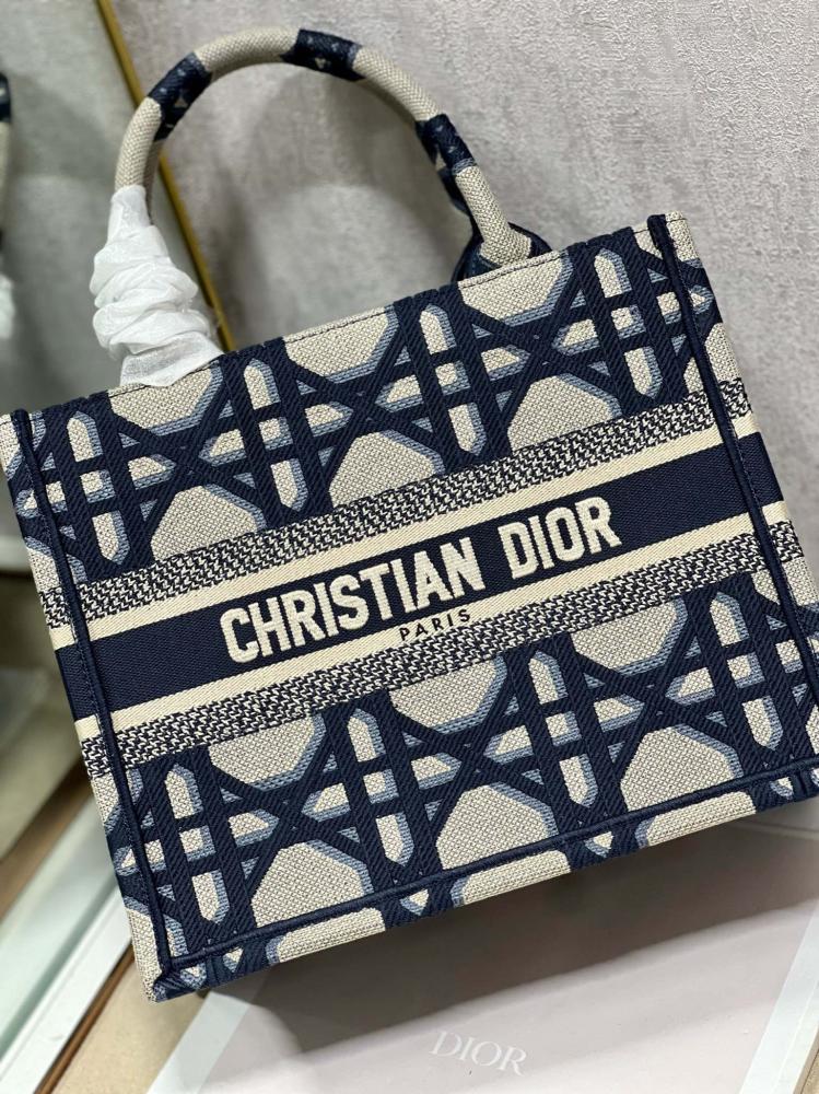 Small Dior Book Tote