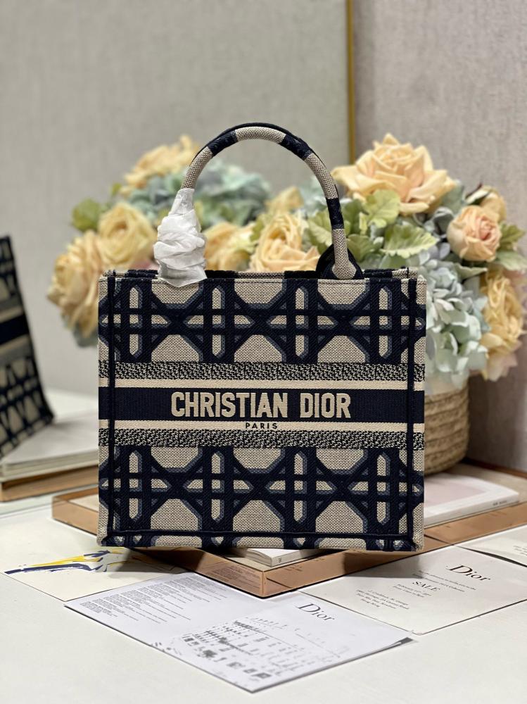 Small Dior Book Tote