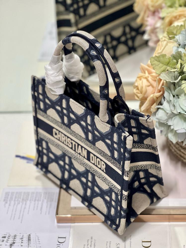 Small Dior Book Tote