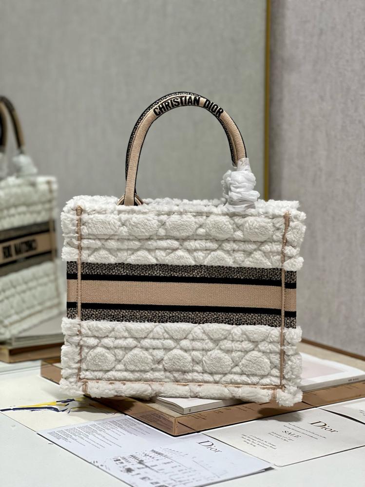 Small Dior Book Tote