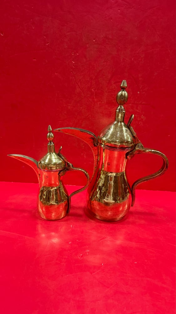 دلال رسلان مطباخه ومبهاره