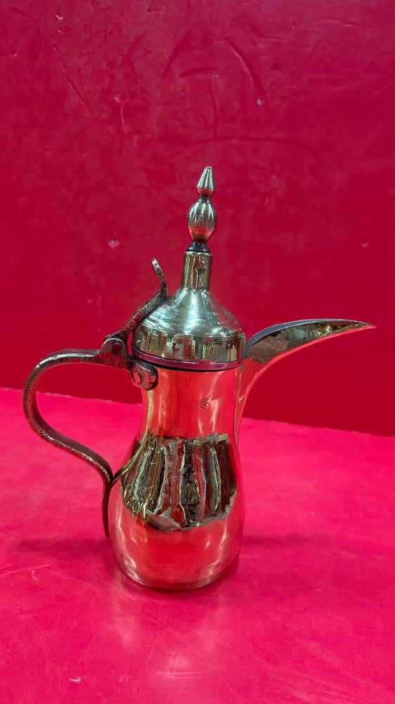 دلال رسلان مطباخه ومبهاره