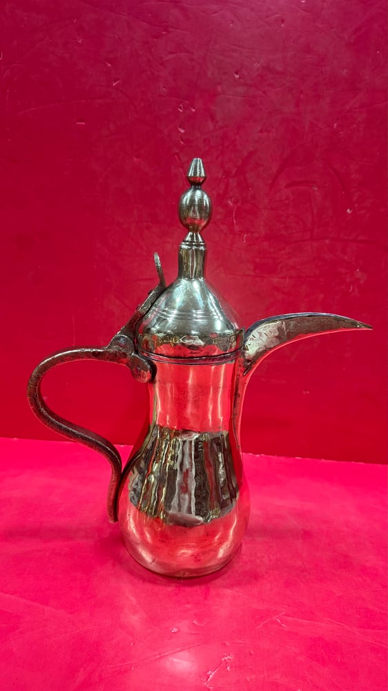 دلال رسلان مطباخه ومبهاره