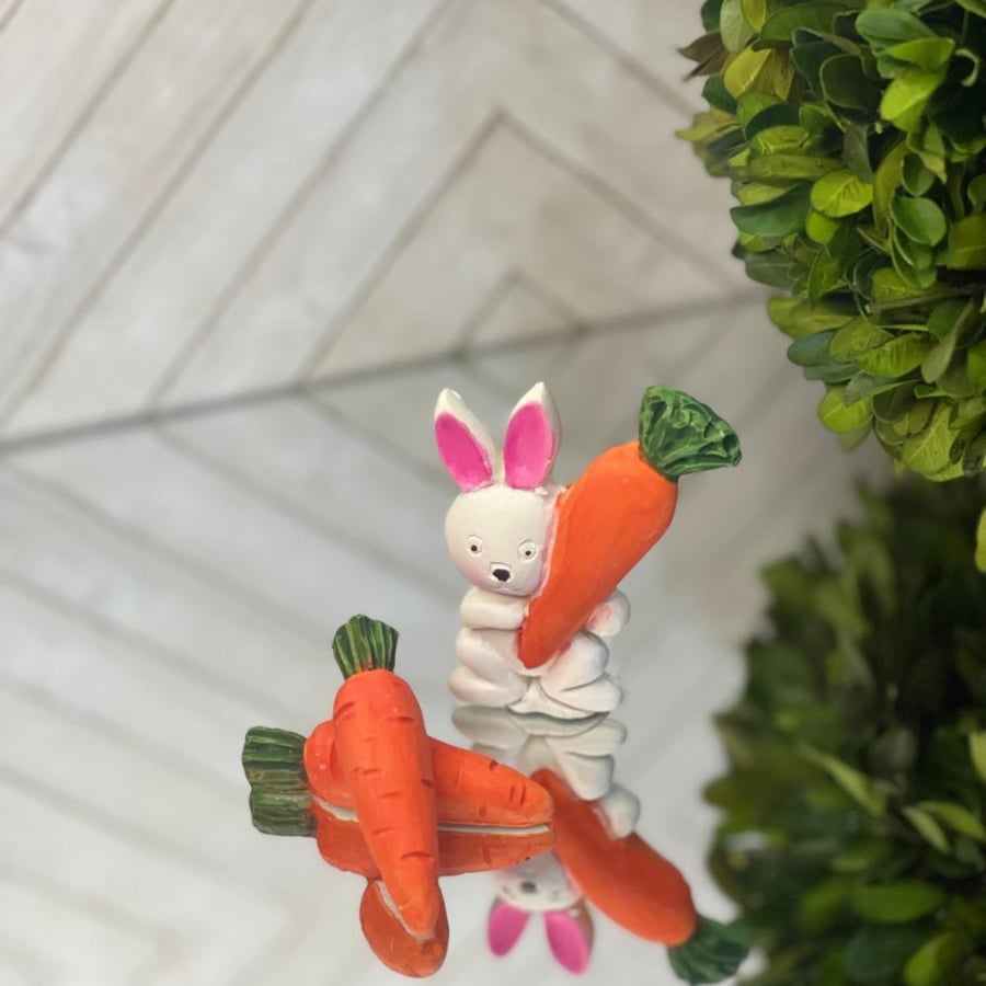 أرنب ميني - Mini Rabbit