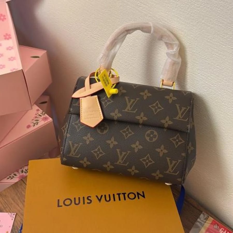 شنطة لويس فيتون Vuitton
