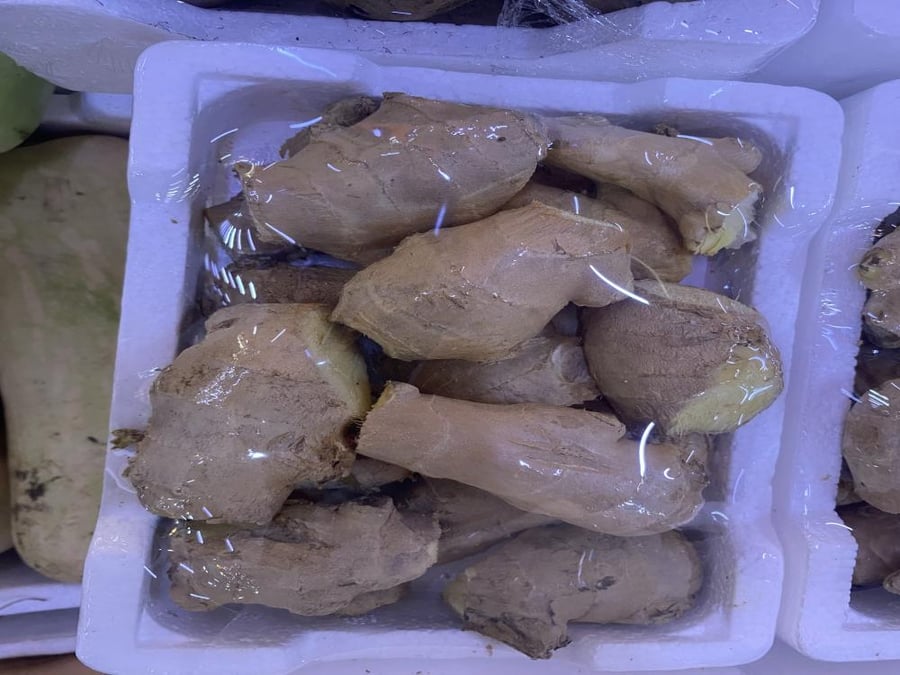 زنجبيل - فلين صغير