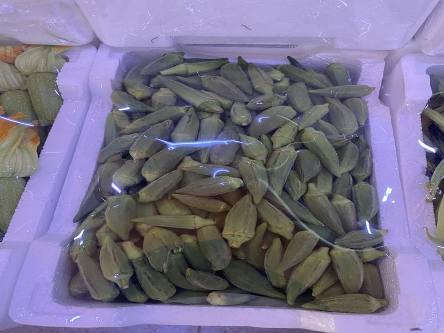 بامية - فلين وسط