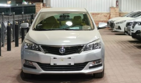 صورة شبك امامي V7 17 19 Carvek