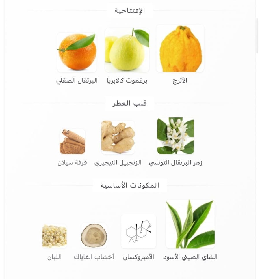 ايماجنيشن من لويس فيتون