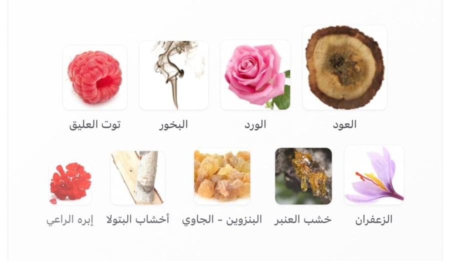 لويس فويتون أومبر نوماد