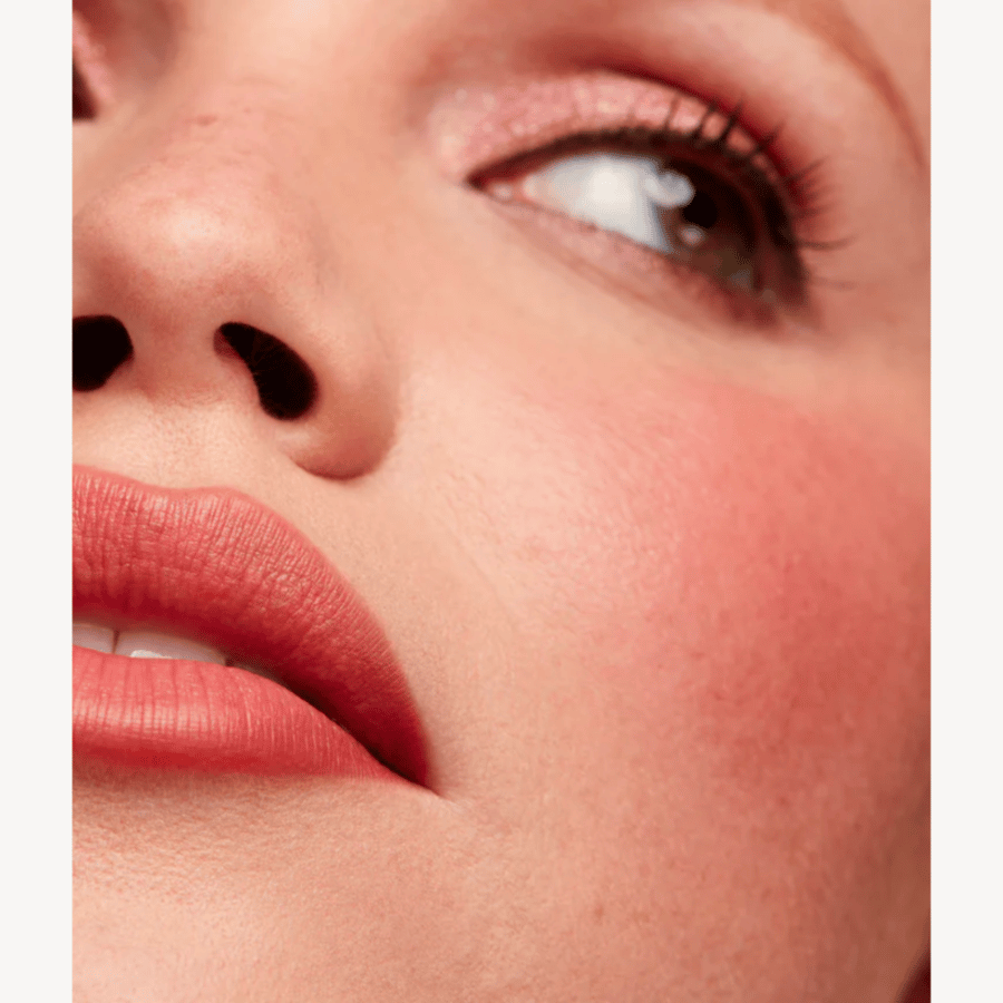 blush & lip stick - audition