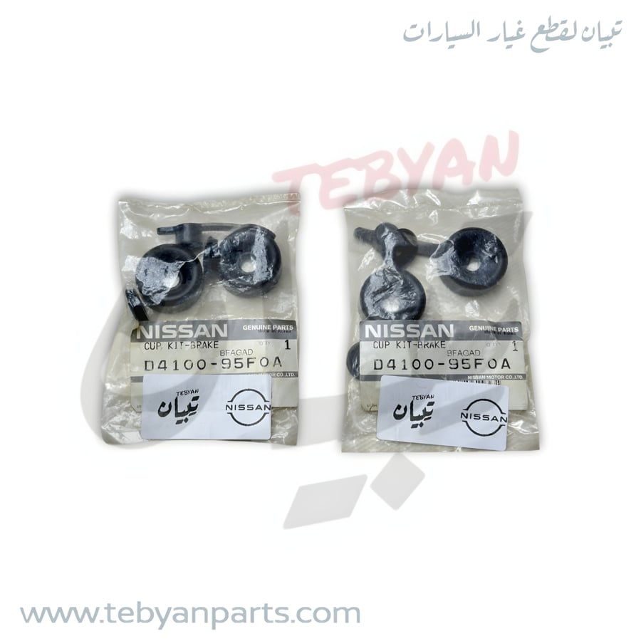 D4100-95F0A