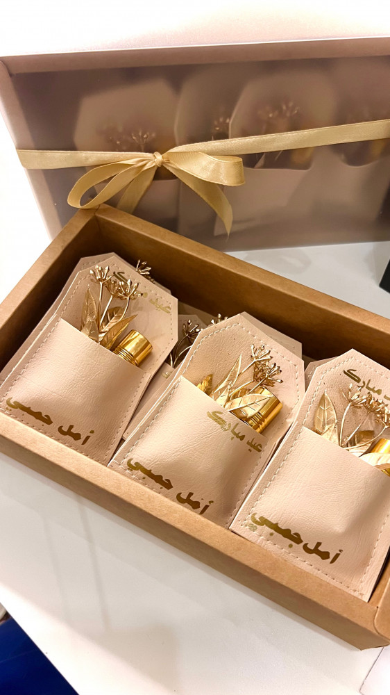 توزيعات جيوب جلد (بيج)