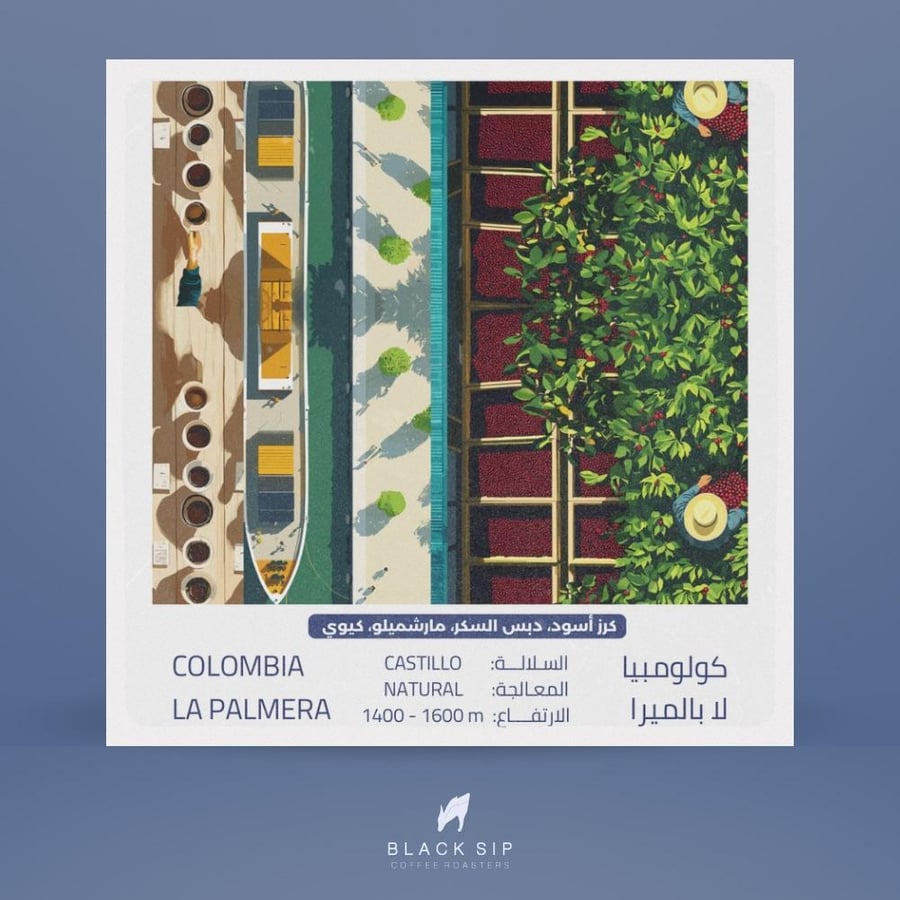 Colombia coffee La Palmera 250g Black Sip